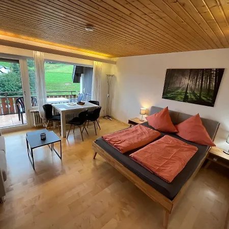 Haus Am Sonnenberg, Todtnauberg, Ferienwohnung 204, Direkt Am Skilift-Skipiste, Naehe Feldberg Buitenkant foto