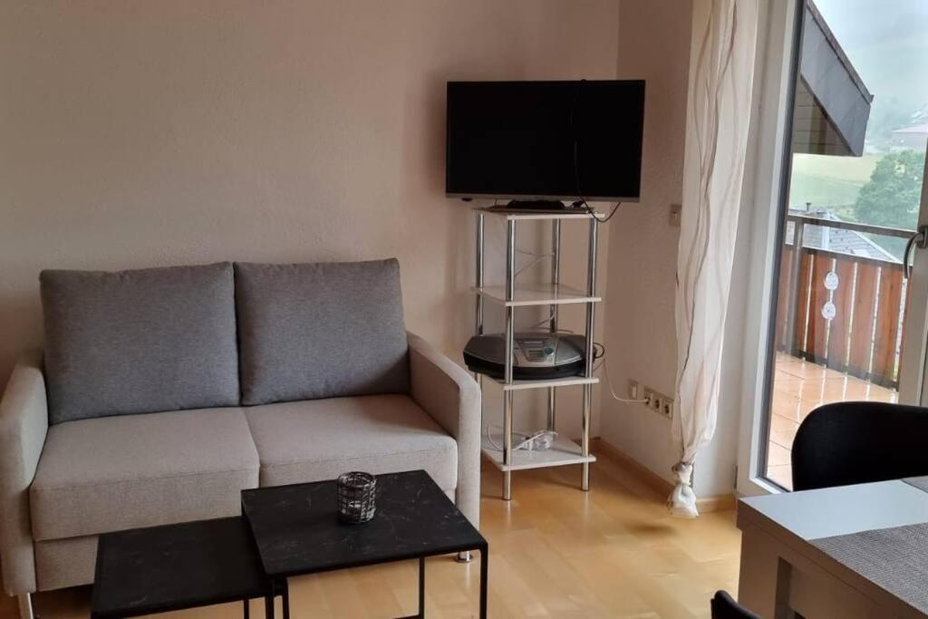 Apartment Haus Am Sonnenberg, Todtnauberg, 204, Direkt Am Skilift-skipiste, Naehe Feldberg *