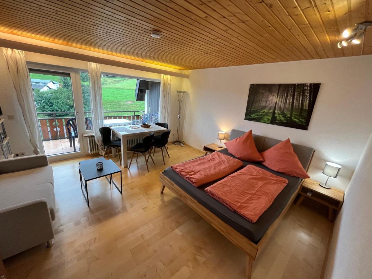 Apartment Haus Am Sonnenberg, Todtnauberg, 204, Direkt Am Skilift-skipiste, Naehe Feldberg