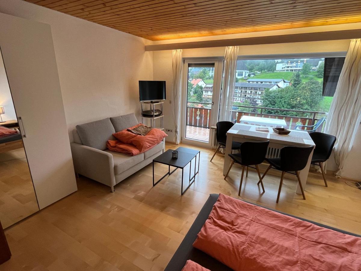 Apartment Haus Am Sonnenberg, Todtnauberg, 204, Direkt Am Skilift-skipiste, Naehe Feldberg *