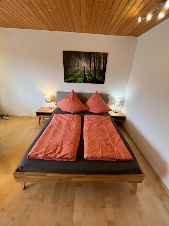 Haus Am Sonnenberg, Todtnauberg, 204, Direkt Am Skilift-skipiste, Naehe Feldberg * Todtnau